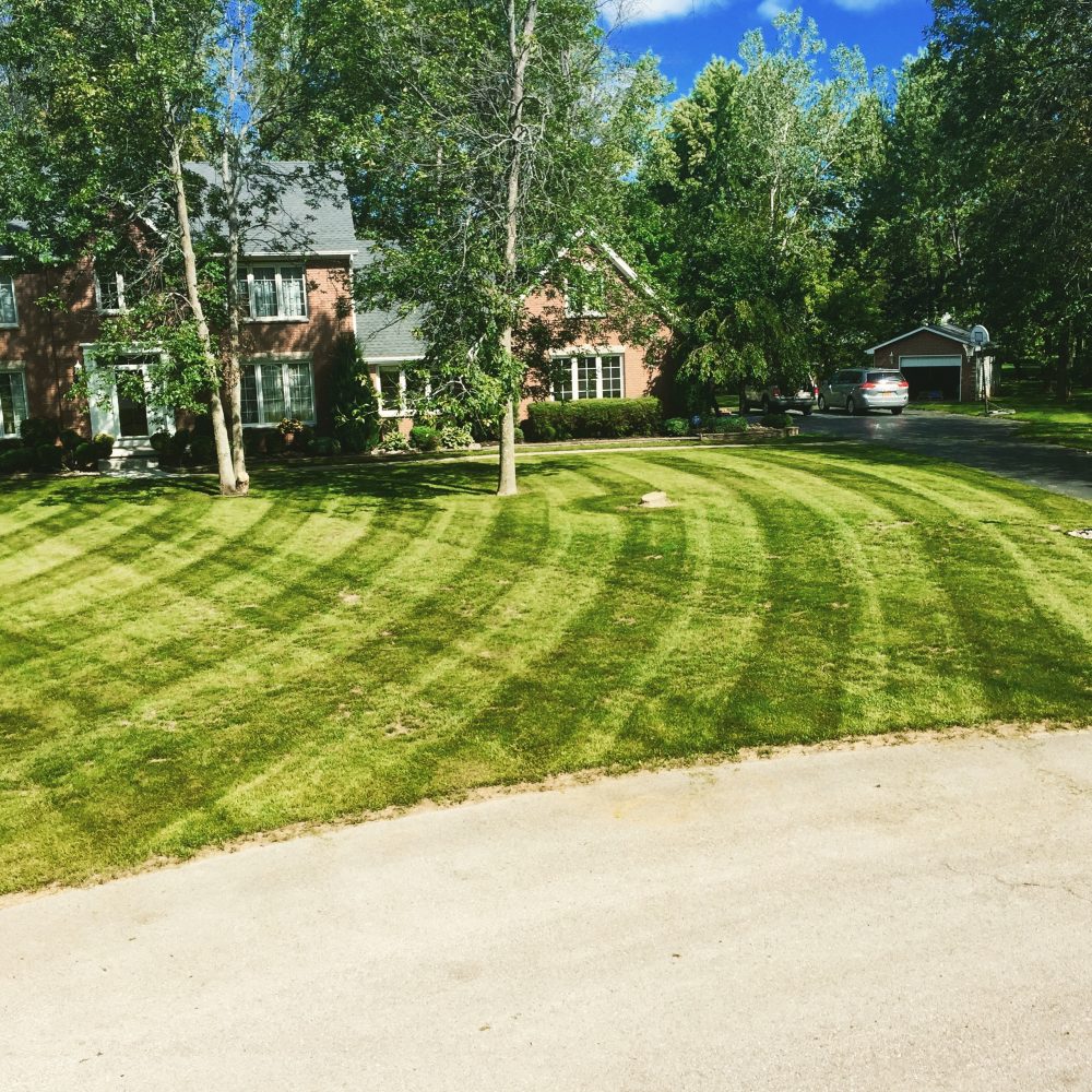 Lawn Care All Seasons Landscaping