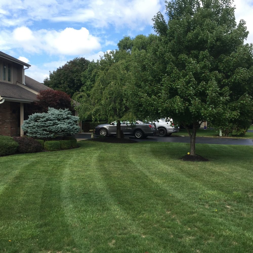 Lawn Care All Seasons Landscaping